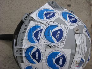 IMG_1810