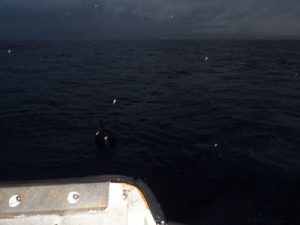 P1010359